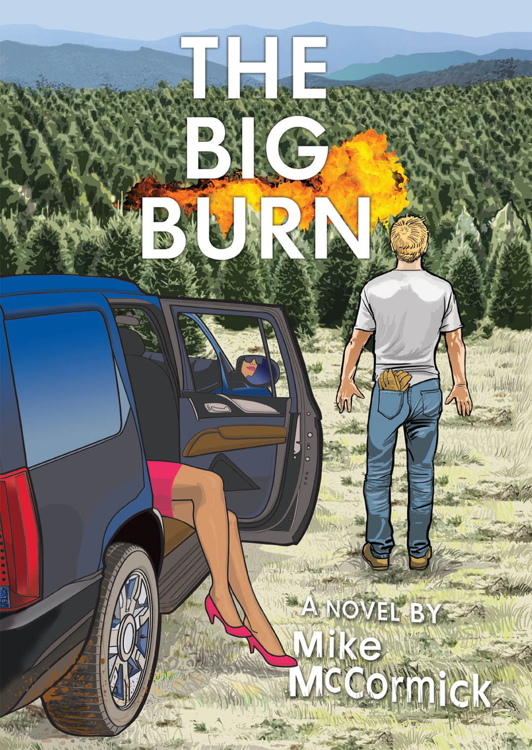 The Big Burn a Novel by Mike McCormick